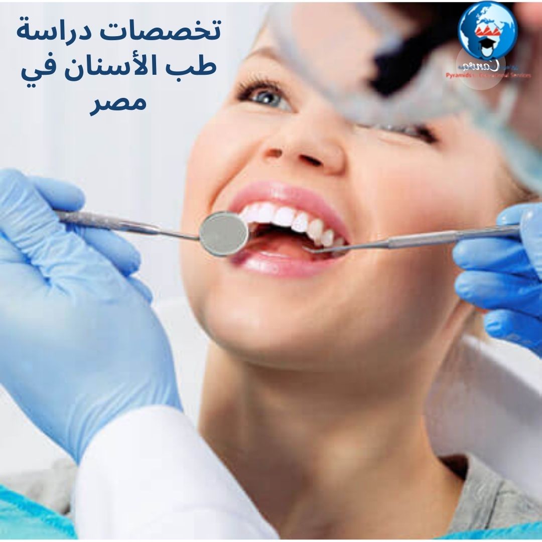 دراسة طب الأسنان في مصر