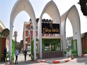 الجامعات الحكومية المصرية